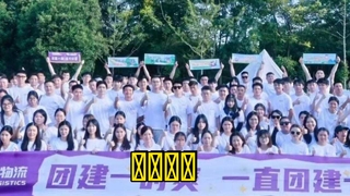 公司团队视频