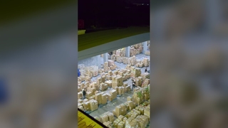 Real-Time Cross-Border Logistics Operations at Night