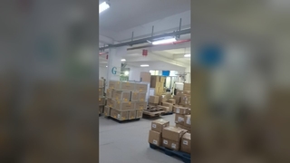 Global Shipping Operations Underway | Lingyi Logistics Live Operations