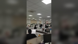 Every International Shipment Is Managed by Professional Teams